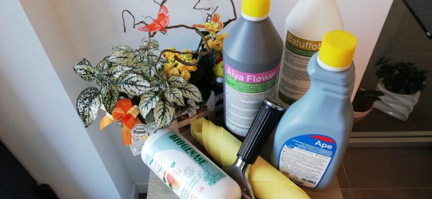La primavera porta una gran voglia di pulito e freschezza. I consigli e le offerte della Linda per le pulizie di primavera!!